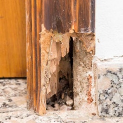 Damaged Wooden Post — Windows And Doors in Cheltenham, VIC